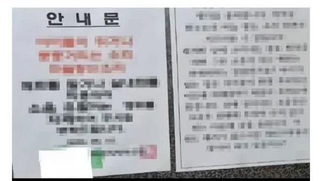 캣맘들이 사라진 이유