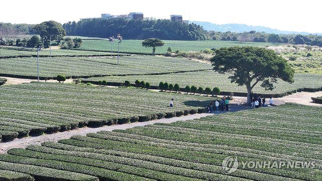 제주, 흐리고 비 내리다 차차 맑아져…강수량 5㎜ 미만