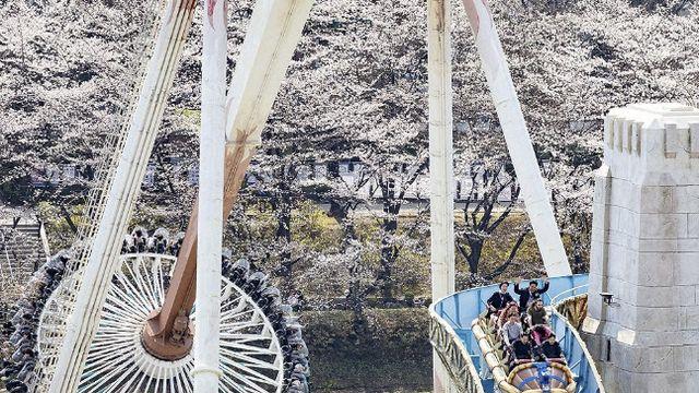 롯데월드 혜성특급 달리다 '멈춤'…탑승객 25명 암흑 속 대기