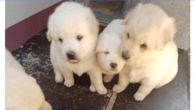 몸이 아파서 귀촌한 사람 썰 