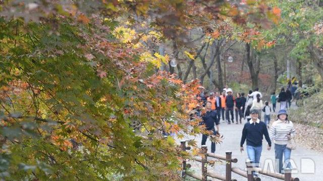 인천, 새벽까지 가끔 비…낮 최고 16도 '포근'