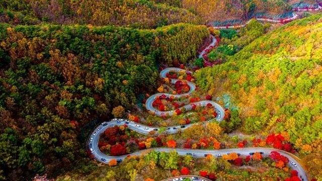 내일날씨, 수도권 