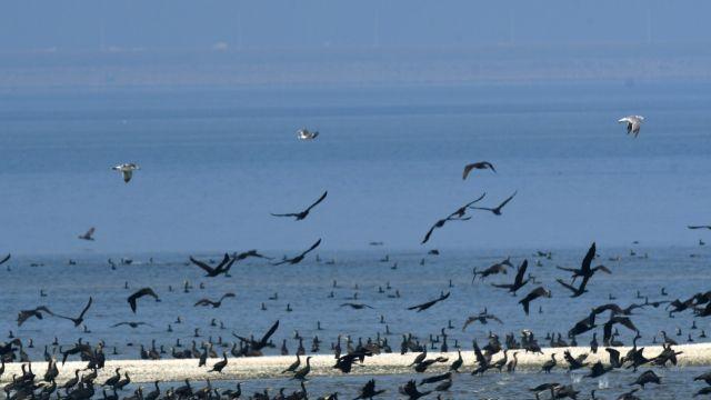 15개 공항 중 11개가 '유령공항'…지역에 필요한 것은 신공항이 아니다