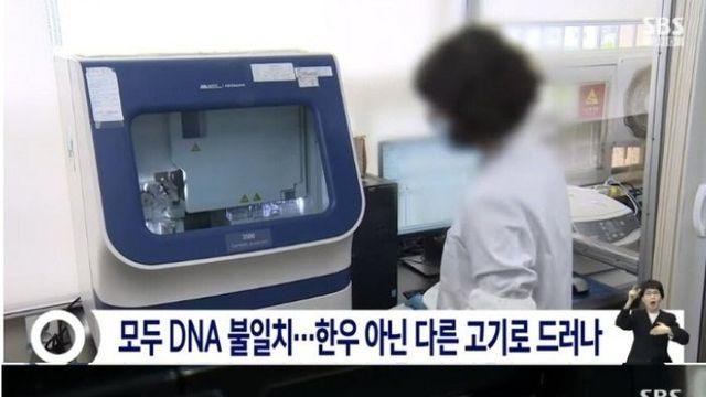 한우 7개 모두 가짜, 축산물 이력제 무쓸모... 