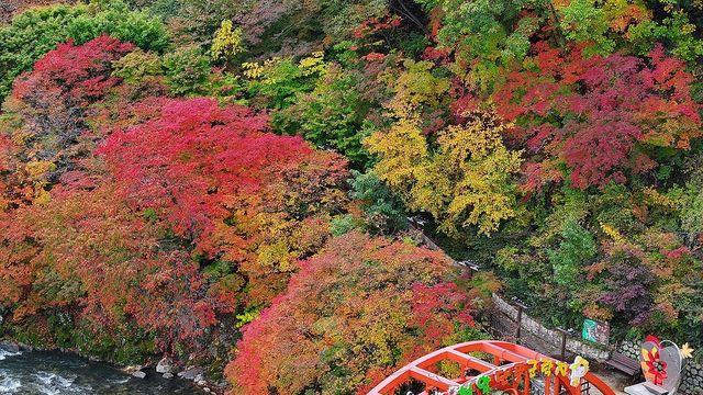 주말 완연한 가을 날씨…일요일 낮부터 다시 추워져