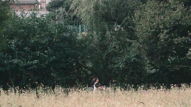 니콘 필그 관심 있는사람들 들어와바