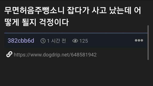 무면허 음주운전 뺑소니 제압했는데 깽값 물어야되는 사람