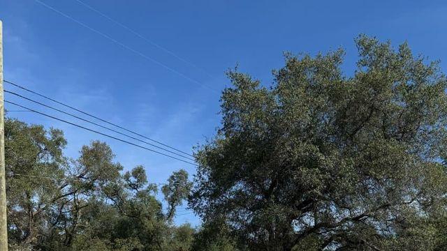 미국 바이크 딜러점 방문기 2탄 - 혼다