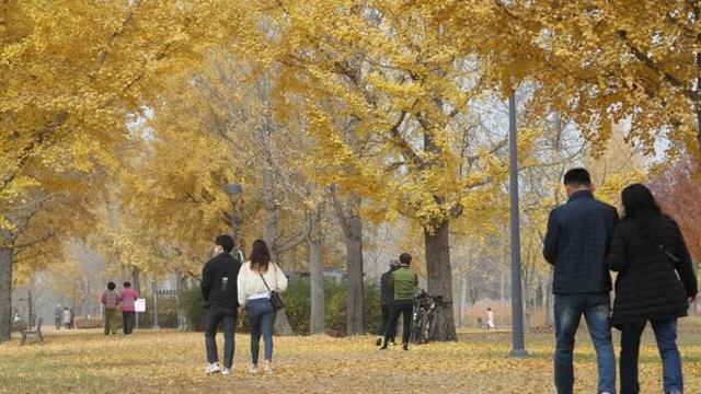 캠핑도 맞춤형으로 즐긴다… 올해 우수 공공 야영장은 바로 '이곳'