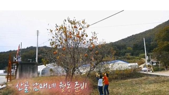 강원도 산골에서 월동 준비하는 남매