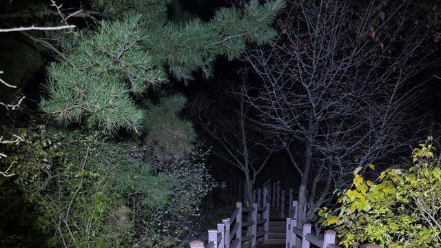 관악산 후기 (+알리노울100%)