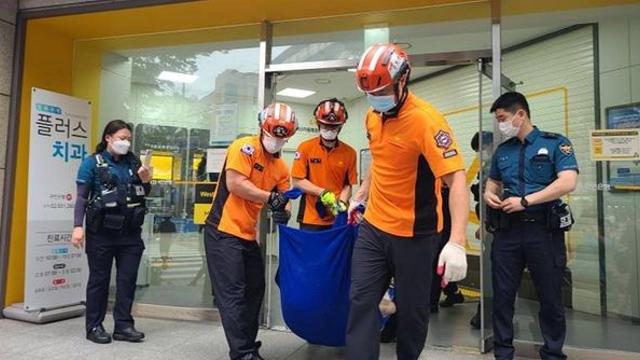 어디서 나타났지...한밤 부산 해운대서 7마리 떼로 출몰한 '위험동물' 정체