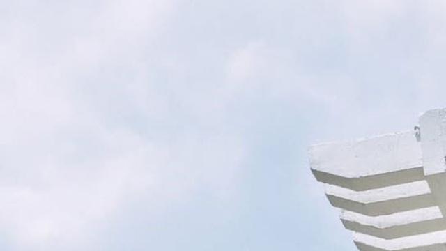 '4선 국회의원 子' 최낙타, 오늘(1일) 결혼