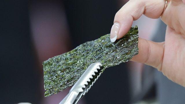 날개 단 'K김' 올해 수출 역대 최대…연간 10억 달러 기대