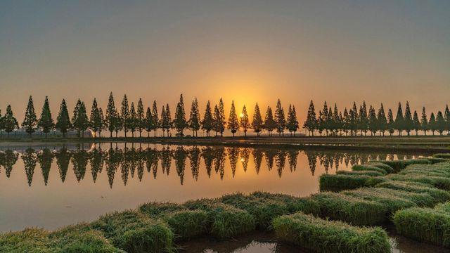 11월에 떠나기 좋은 곳…철새와 함께 걷는 ‘겨울 여행지’