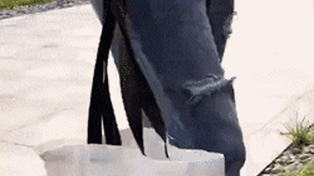 냥이 산책하는데 좋다는 백.