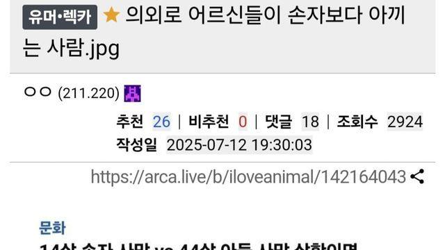 어르신들이 손자보다 아끼는 사람