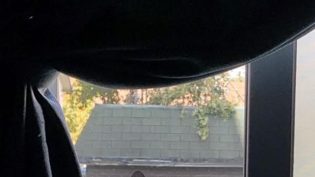 길냥이 또 집에 놀러왔어요. ????