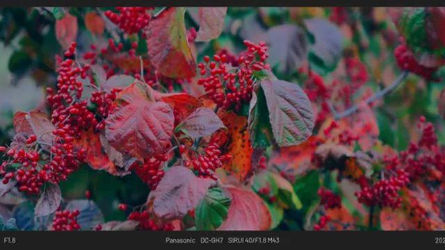 날이 갑자기 흐려져서 슬펐던날