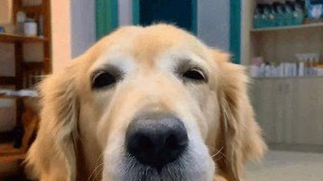 골댕이가 좋아하는 우유