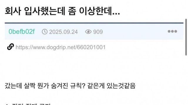 '회사 입사했는데 좀 이상함.'