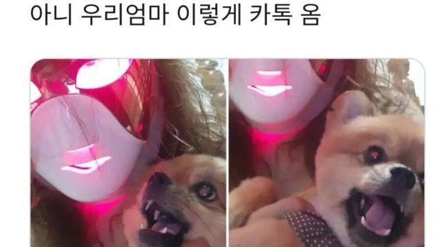 엄마가 카톡으로 보내온 사진 레전드 ㅋㅋㅋ