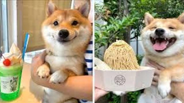 음식이 맛있어 지는 순간.