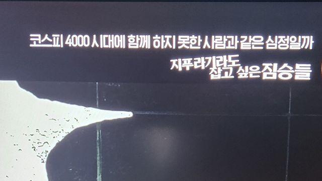 실시간 OCN 영화채널 자막 (feat.이재명 대통령)