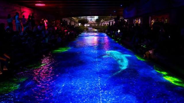 5개월 만에 100만 명 몰렸다… 밤이 더 아름다운 ‘도심 산책 명소’