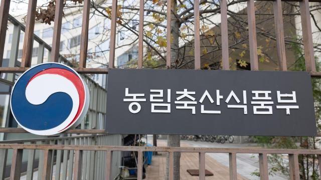 한국 감, 17년 만에 중국으로 수출된다…