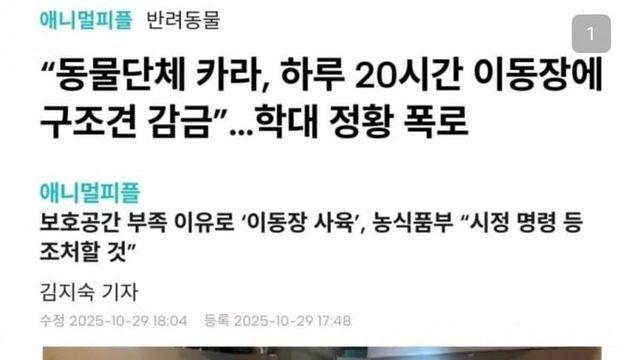 동물단체 카라 근황 ㅋㅋㅋ