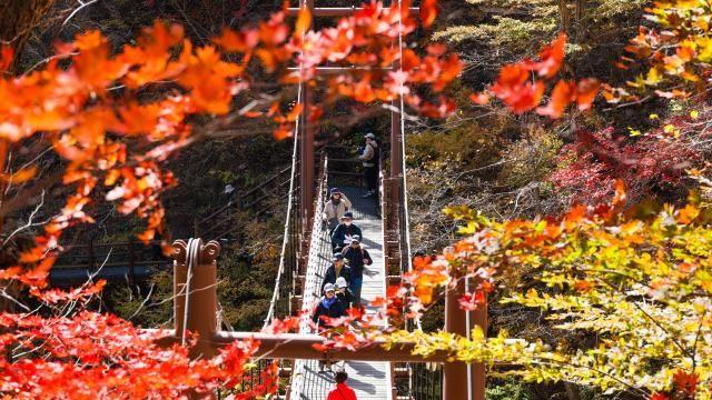 [이서영의 재테크루] 가을 나들이, 하루만 탈 건데…'원데이 보험'이 답일까