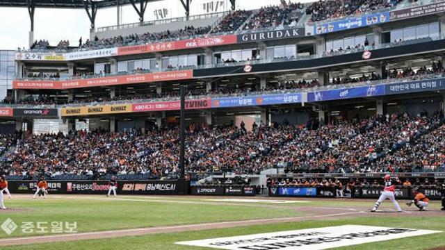 한화 이글스의 힘찬 날갯짓…모두가 함께 울고 웃었다