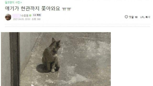 의외로 캣맘들이 두려워한다는 것