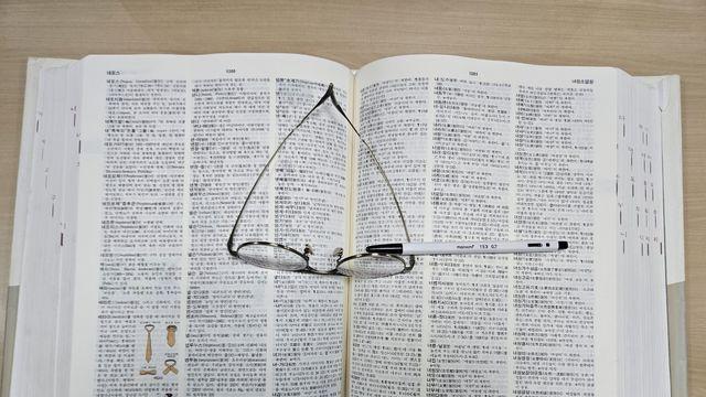 [이런말저런글] '새' 감독과 '새로운' 팀