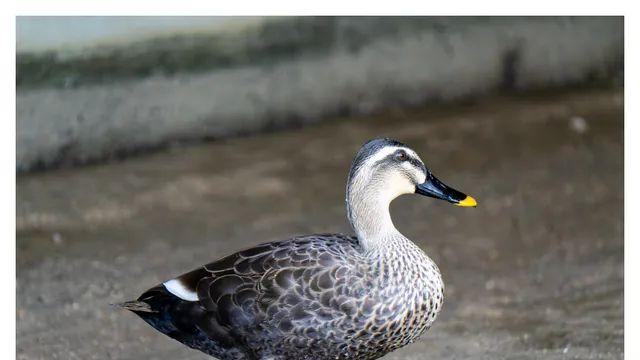 너희는 새 사진을 봐야 한다. (16pic