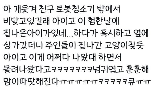 집나가 비맞고 있던 아이.