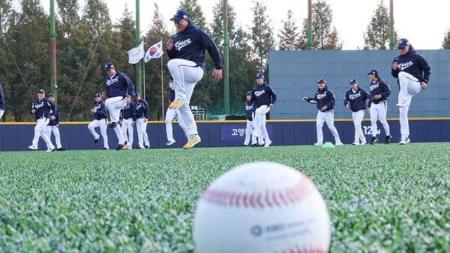 야구대표팀에 부는 새로운 바람…2003년생 황금세대의 등장