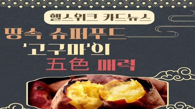 땅속 슈퍼푸드 ‘고구마’의 五色 매력