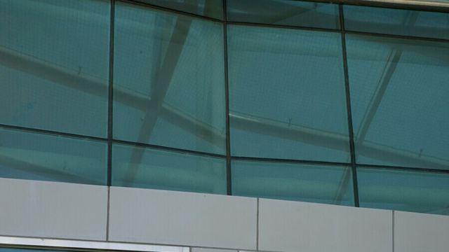 애니가 이렇게 위험합니다.