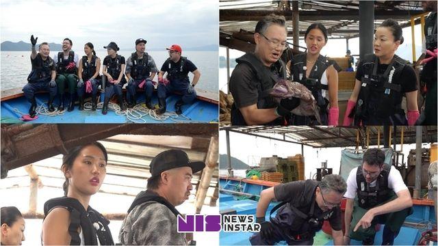 MBC '푹 쉬면 다행이야' 역대급 돔 등장! 안유성X이모카세X파브리 흥분하게 한 '바다의 황제' 정체는?