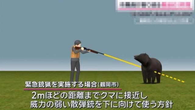 일본의 곰 구제방법 