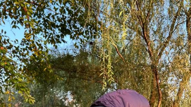 [IS하이컷] 박보검, 가을 햇살 속 따뜻한 미소… “파아란 바람이 불고”