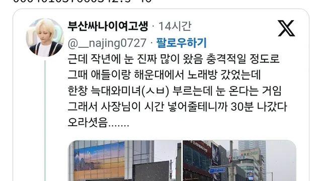 작년 부산 폭설 사진