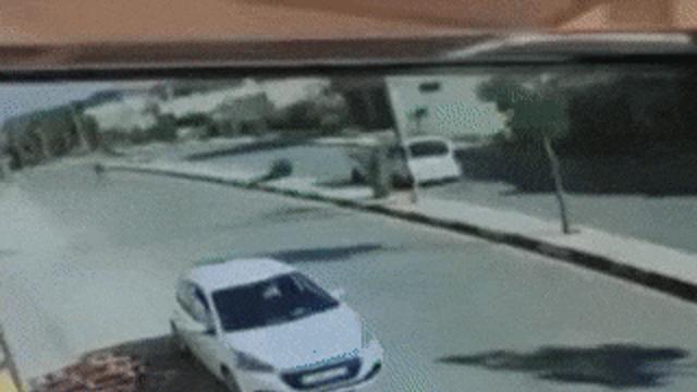 세상 멋지게 등장하는 상남자.