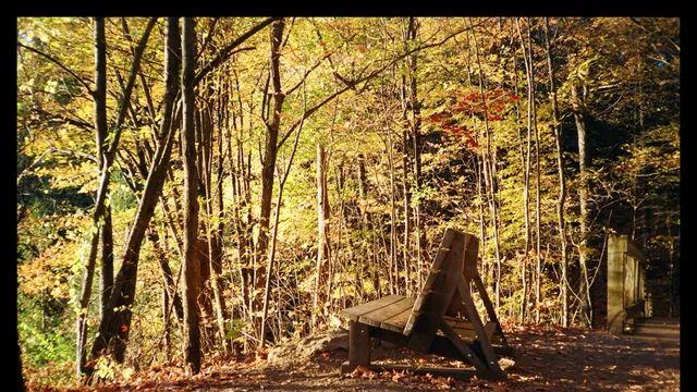 필린이 인생 첫롤 쪄옴