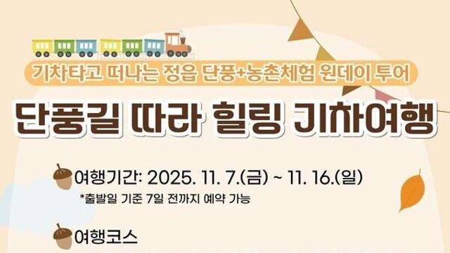 '농뚜레일' 열차타고 정읍 내장산 단풍 즐기고 농촌체험까지!