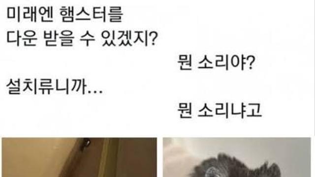 미래에 햄스터 다운로드가 가능한이유