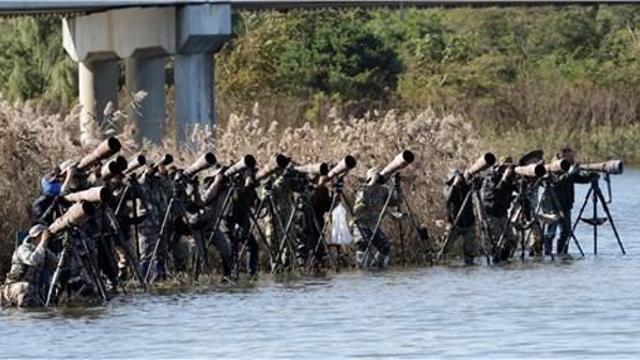 [유형재의 새록새록] 위장한 대포부대 출현…강릉 남대천에 무슨 일?