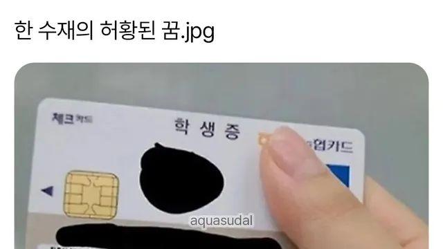 한 수재의 허황된 꿈.jpg,,
